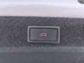 Skoda Octavia 2.0TDI Ambition 110kW Blanco - thumbnail 8