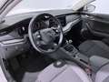Skoda Octavia 2.0TDI Ambition 110kW Blanco - thumbnail 15