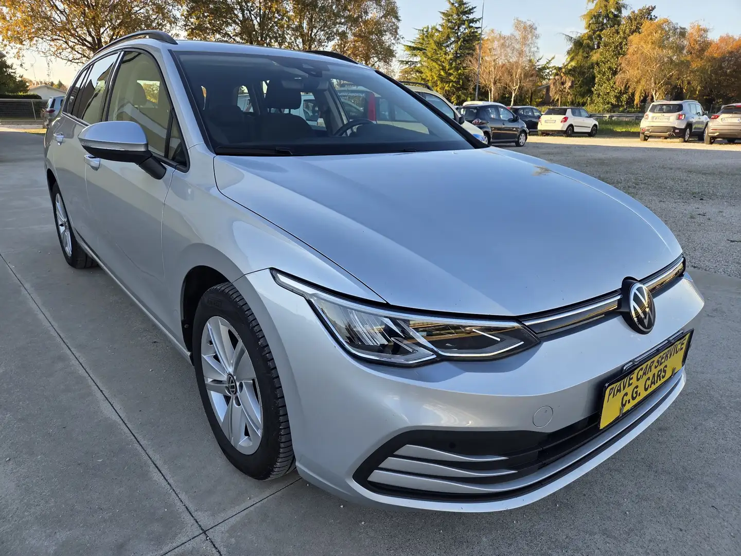 Volkswagen Golf Variant Golf VIII 2020 Variant 2.0 tdi Life 115cv dsg Argento - 1