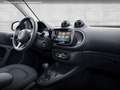 smart forTwo EQ 60kWed passion SHZ Pano PDC+Kamera Navi Rot - thumbnail 10
