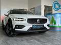 Volvo V60 Cross Country V60 CROSS COUNTRY ULTIMATE B4*AWD*PANO*H/K*360° Blanc - thumbnail 13
