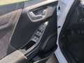 Ford Puma Titanium Bluetooth Navi LED Klima el. Fenster Blanco - thumbnail 10