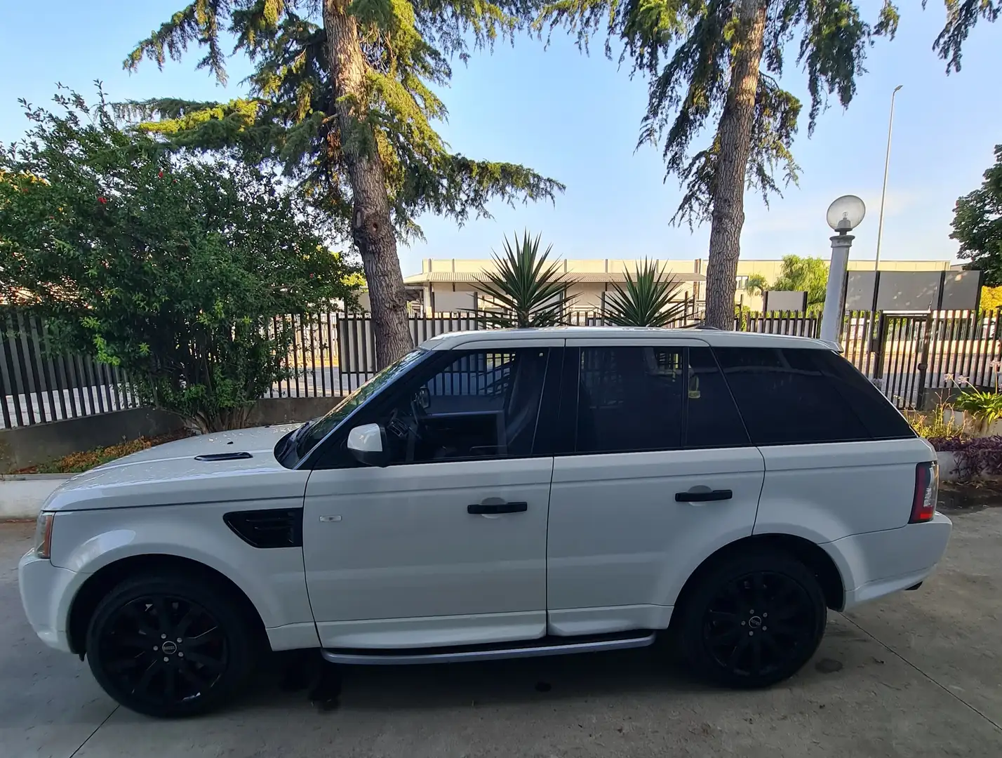 Land Rover Range Rover Sport Range Rover Sport I 2010 3.0 tdV6 HSE auto Bianco - 1