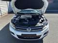 Volkswagen Tiguan 1,4 TSI Trend Weiß - thumbnail 15