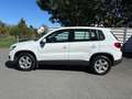 Volkswagen Tiguan 1,4 TSI Trend Weiß - thumbnail 3