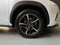 Lexus NX 300h 2.5 300H Pack Business 4WD AUTO Blanco - thumbnail 35