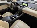 Lexus NX 300h 2.5 300H Pack Business 4WD AUTO Blanco - thumbnail 12