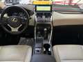 Lexus NX 300h 2.5 300H Pack Business 4WD AUTO Blanco - thumbnail 10