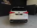 Lexus NX 300h 2.5 300H Pack Business 4WD AUTO Blanco - thumbnail 7
