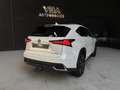 Lexus NX 300h 2.5 300H Pack Business 4WD AUTO Blanco - thumbnail 6