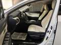 Lexus NX 300h 2.5 300H Pack Business 4WD AUTO Blanco - thumbnail 13