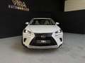Lexus NX 300h 2.5 300H Pack Business 4WD AUTO Blanco - thumbnail 3
