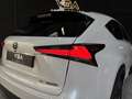 Lexus NX 300h 2.5 300H Pack Business 4WD AUTO Blanco - thumbnail 37