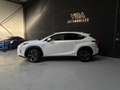 Lexus NX 300h 2.5 300H Pack Business 4WD AUTO Blanco - thumbnail 4