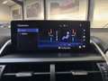 Lexus NX 300h 2.5 300H Pack Business 4WD AUTO Blanco - thumbnail 29