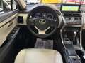 Lexus NX 300h 2.5 300H Pack Business 4WD AUTO Blanco - thumbnail 11