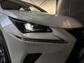 Lexus NX 300h 2.5 300H Pack Business 4WD AUTO Blanco - thumbnail 34