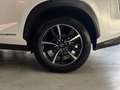 Lexus NX 300h 2.5 300H Pack Business 4WD AUTO Blanco - thumbnail 39