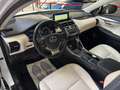 Lexus NX 300h 2.5 300H Pack Business 4WD AUTO Blanco - thumbnail 9
