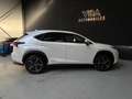 Lexus NX 300h 2.5 300H Pack Business 4WD AUTO Blanco - thumbnail 8