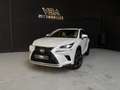 Lexus NX 300h 2.5 300H Pack Business 4WD AUTO Blanco - thumbnail 2