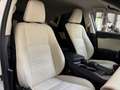 Lexus NX 300h 2.5 300H Pack Business 4WD AUTO Blanco - thumbnail 15