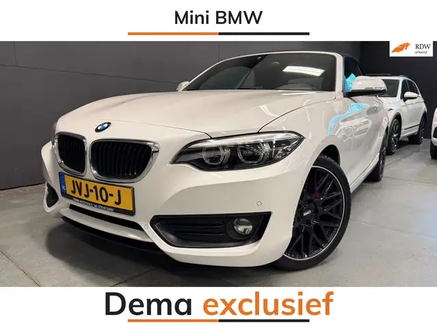 BMW 218 2-serie Cabrio 218i Executive AUTOMAAT/CRUISE/PDC/