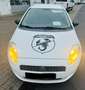 Fiat Grande Punto 1.2 8V / ABARTH STYLE / WEIß / SONDERPREIS Weiß - thumbnail 2