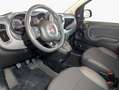 Fiat Panda 1.0 GSE Hybrid RED Rosso - thumbnail 8