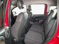 Fiat Panda 1.0 GSE Hybrid RED Rosso - thumbnail 9