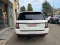 Land Rover Range Rover Sport Range Rover Sport 3.0 tdV6 SE 211cv auto 8m Bianco - thumbnail 6
