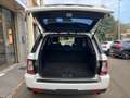 Land Rover Range Rover Sport Range Rover Sport 3.0 tdV6 SE 211cv auto 8m Blanc - thumbnail 16