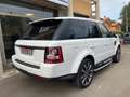 Land Rover Range Rover Sport Range Rover Sport 3.0 tdV6 SE 211cv auto 8m Bianco - thumbnail 5