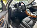 Land Rover Range Rover Sport Range Rover Sport 3.0 tdV6 SE 211cv auto 8m Bianco - thumbnail 8