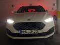 Ford Mondeo Mondeo Turnier 2.0 TDCi Start-Stopp PowerShift-Aut Weiß - thumbnail 10