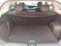 Kia Niro 1.6 Hybrid/Benzin Spirit Automatik Wit - thumbnail 5
