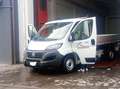 Fiat Ducato 33 2.3 MJT CASSONE RIBALTABILE 140CV Bianco - thumbnail 5
