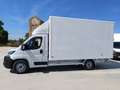 Toyota Proace Max Chasis Cab L4H1 2.2D GX 140cv Blanco - thumbnail 7