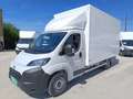 Toyota Proace Max Chasis Cab L4H1 2.2D GX 140cv Blanco - thumbnail 2