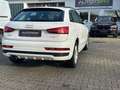 Audi Q3 *1-HAND*S-LINE*AUTOMATIC*8FACH*XENON*PDC* Blanc - thumbnail 3