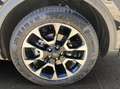 Ford Kuga 2,5 Duratec FHEV Active X Aut. Schwarz - thumbnail 19