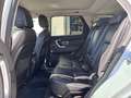 Land Rover Discovery Sport Discovery Sport I 2015 2.0 td4 HSE awd 150cv auto Bianco - thumbnail 11