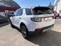Land Rover Discovery Sport Discovery Sport I 2015 2.0 td4 HSE awd 150cv auto Bianco - thumbnail 5