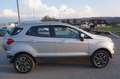 Ford EcoSport 1,0 EcoBoost Titanium Silber - thumbnail 3