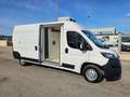 Peugeot Boxer 335 2.2 BlueHDi 140CV S&S L3H2 FRIGO ZANOTTI 0°C Bianco - thumbnail 5