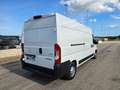 Peugeot Boxer 335 2.2 BlueHDi 140CV S&S L3H2 FRIGO ZANOTTI 0°C Bianco - thumbnail 7