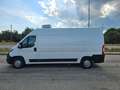 Peugeot Boxer 335 2.2 BlueHDi 140CV S&S L3H2 FRIGO ZANOTTI 0°C Bianco - thumbnail 14