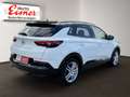 Opel Grandland X 1.2 Turbo GS Line AHK LM Weiß - thumbnail 14