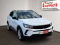 Opel Grandland X 1.2 Turbo GS Line AHK LM Weiß - thumbnail 17