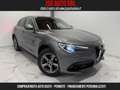 Alfa Romeo Stelvio Stelvio 2.2 Turbodiesel 210 CV AT8 Q4 Super Grigio - thumbnail 1